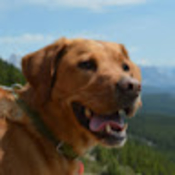 Meet your Posher, Ceileann - Picture 1 of 1